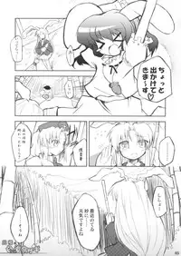 (C71) [Include (Foolest, Decko)] Inaba no Shiro Usagi (Touhou Project)