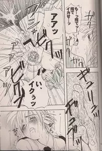 (C64) [Fusuma Goten (Shouji Haruko)] Enzai no Kiroku (Hellsing)