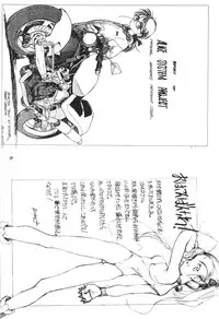 (C50) [PEACE MAKER (E=MC2)] JUNKY'S JUNKS (Various)