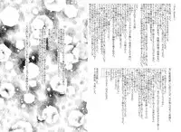 [Cipher (Kirise)] ~SAIFA~ Sairokubon [Kino no Tabi Hen] (Kino no Tabi) [Digital]