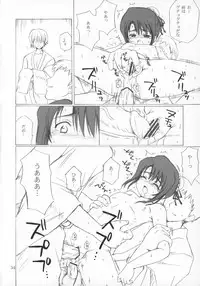 (C67) [NIKOPONDO (Aoyama Reo)] Hina no Mori (Bleach)