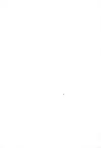 (SC32) [Inu Ringo, Nilitsu Haihan (Nilitsui)] About18cm 3rd (Fate/stay night)