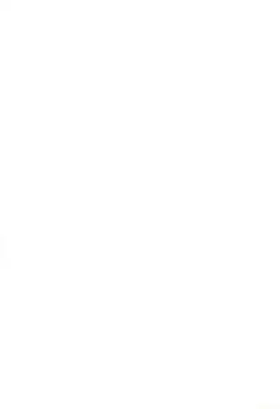 Dakara Tokyo Shounen na wake