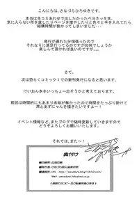 [Sanazura Doujinshi Hakkoujo (Sanazura Hiroyuki)] Stylish Fuck!! (Bayonetta)