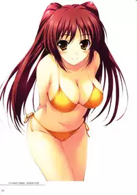 (C74) [Mugenkidou A (Tomose Shunsaku)] Tomose Shunsaku Jisen Illust Shuu (Various)