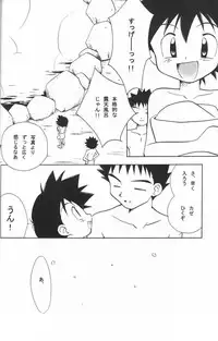 (C65) [Kurikomi (Adachi Himiko)] Golden Smile (Pokémon)