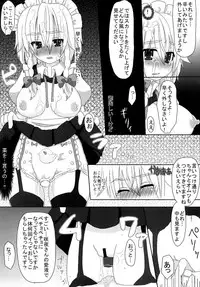 (Reitaisai 8) [Testa Kitchen (Testa, Aisa)] SHADOW MOON (Touhou Project)