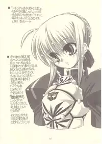 [NNZ Dan] Ultra Fate [Fate/Hollow Ataraxia]