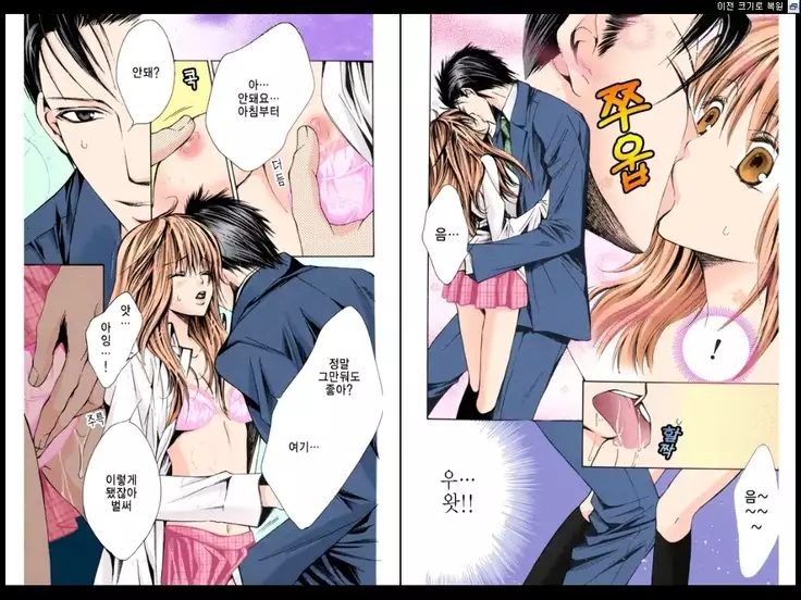 Naisho no Love Mariage | 비밀의 결혼