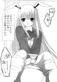 (C70) [Mirabilien Fabrik (Various)] Shoujo Yousai Rengashuu Touhou Inreika (Touhou Project)