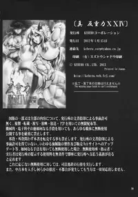 (C81) [KEBERO Corporation] Shin Han-juuryoku XXIV