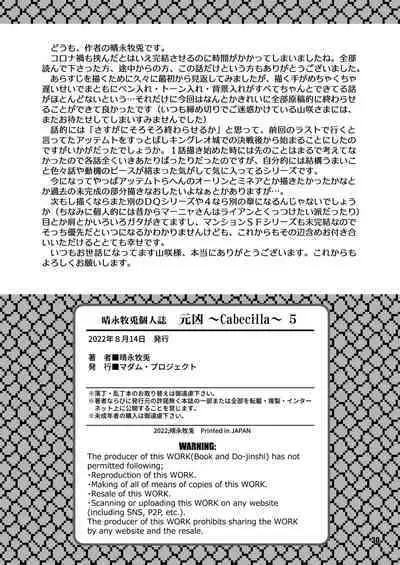 [Madam Project (Harunaga Makito)] Genkyou ~Cabecilla~ 5 (Dragon Quest IV) [Digital]