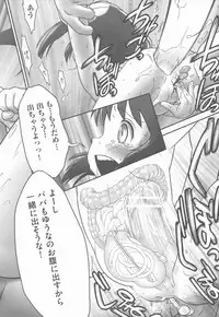 [Ogu] Shoujo Shiki Fuzoku Ogu Hinyoukika +Paper