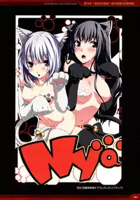 Dies irae Visual Fanbook - Red Book (Resale Version)