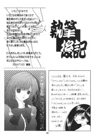 (C66) [Studio Boxer (Shima Takashi, Taka)] Ho He To 29 (Ichigo 100%)