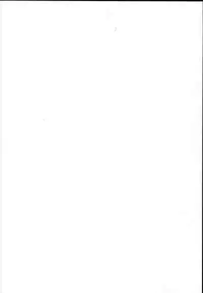 purely magic Cinderella