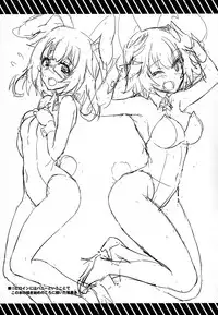 (C84) [Fukahire (Same)] IS ICHIKA LOVE SISTERS!! (Infinite Stratos) [English] [Rapid Switch]