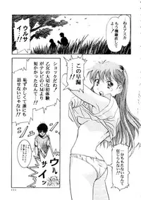 [doujinshi anthology] [Kawarajima Kou] The Henreikai (Sailor Moon, Evangelion)