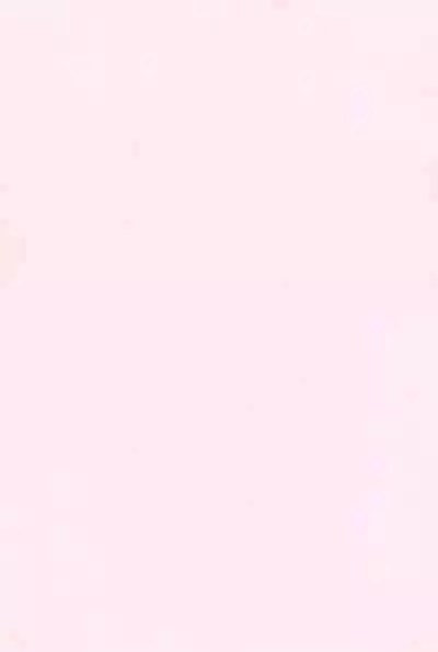 (CCTokyo95) [Dennougiwa (Takano Iori)] Pretty Tamers (Digimon Tamers)