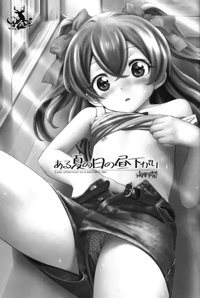 (C100) [Kuroshikatei (Unno Hotaru)] Aru Natsu no Hirusagari (Delicious Party PreCure)（Chinese）