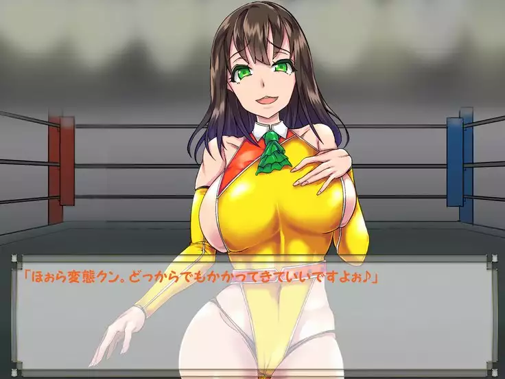 ドMプロレス2 画像集