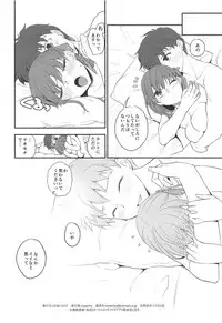 (C95) [TRIP SPIDER (niwacho)] Soushisouai (Fate/stay night)