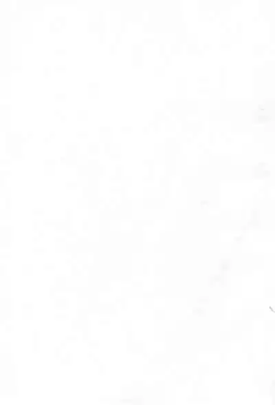 (C75) [Tenny Le Tai (Various)] Tatta mama Moe