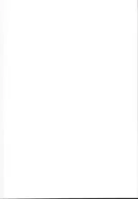 (C95) [STUDIO HUAN (Raidon)] NanoFei Soushuuhen (Mahou Shoujo Lyrical Nanoha)