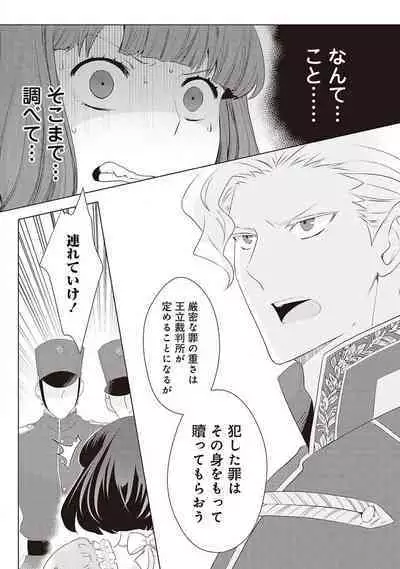 悪役令嬢に転生したけど、破局したはずのカタブツ王太子に溺愛されてます！？ 1-18