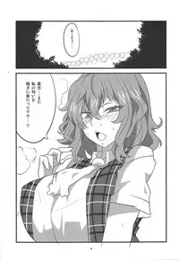 (Shuuki Reitaisai 3) [BlueMage (Aoi Manabu)] Himawari no Fragrance (Touhou Project)