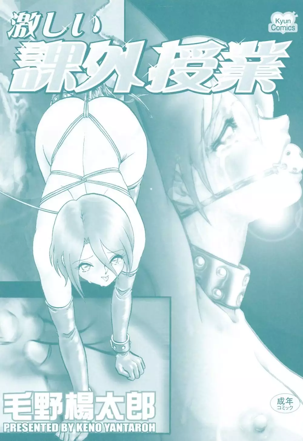 Hageshii Kagai Jugyou