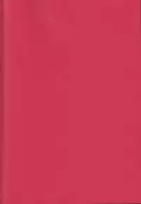 (C84) [Kanyou Shounen (URA)] Magical Zundoko Fire (Magi: The Labyrinth of Magic)