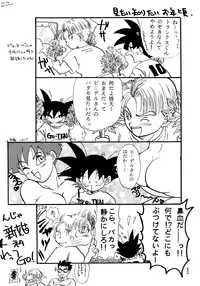 (C49) [Chirigami Goya, Fusuma Goten (Shouji Haruzo)] Z (Dragon Ball Z)