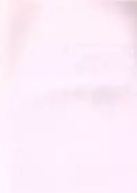 (C54) [Raijinkai (Harukigenia)] Moeyo Sakura (Street Fighter)