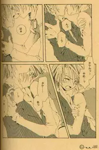 [el cuervo (Pin)] DEEP INSIDE (Digimon)