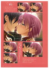 Walkure Romanze Visual Fan Book