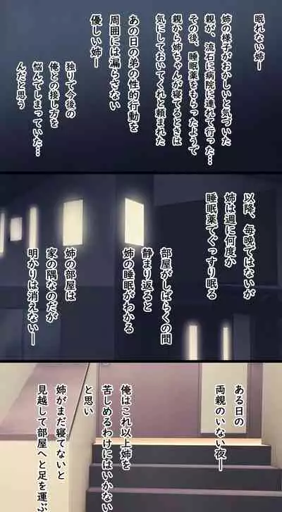 Komarigao na Bijin no Ane o Osotte Yaritai Houdai Yatta Hanashi