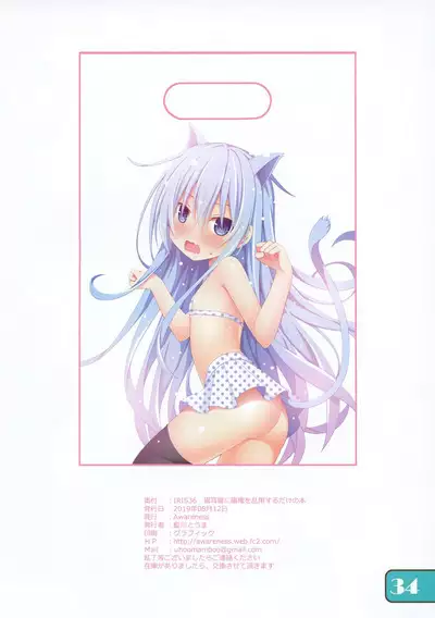 IRIS36 Nekomimi Hibiki ni Shokken o Ranyou Suru dake no Hon