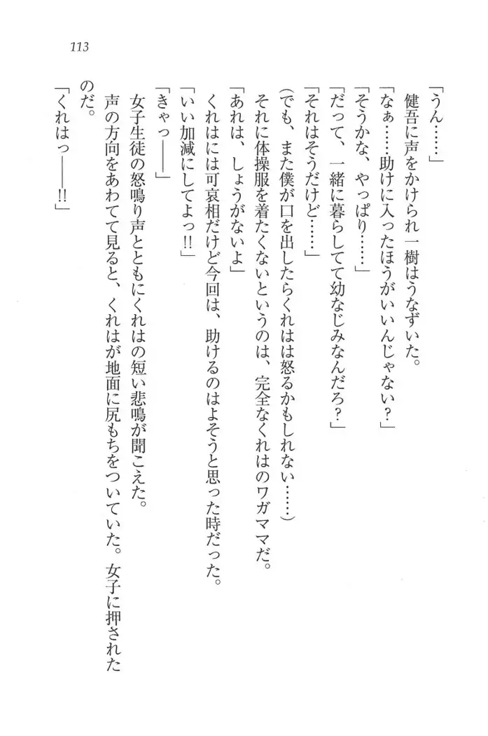 お嬢様はメイド様!？