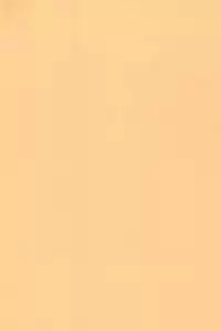 (C52) [P.A.Project (Various)] Totteoki no Mahou (10 Carat Torte!)