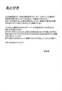 (C95) [Ice Manjuu (Minami)] Tsukino Mito Ero Voice_04 (Tsukino Mito)