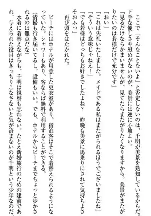年上メイドの新婚日記