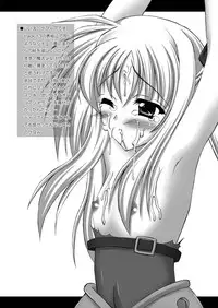 (C80) [chronicle (YUKITO)] FATE COLLECTION II (Mahou Shoujo Lyrical Nanoha)