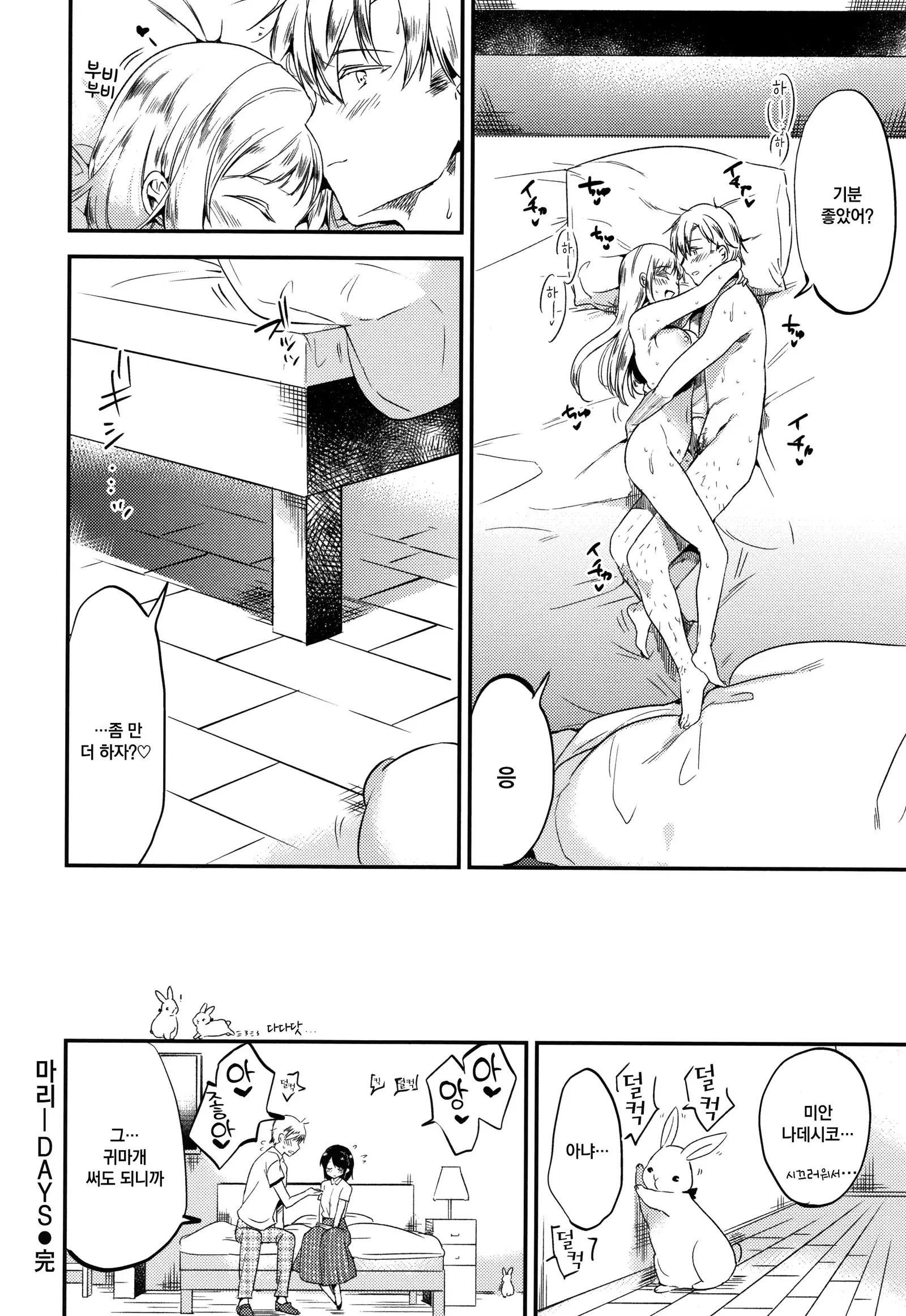 Rabbit Paradise | 래빗 파라다이스