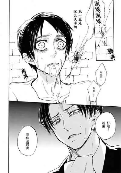 Shonen Knife | 少年的刀