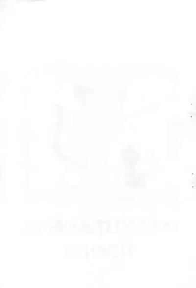 Nekomimi ga, Kakitakatta dake na Hon