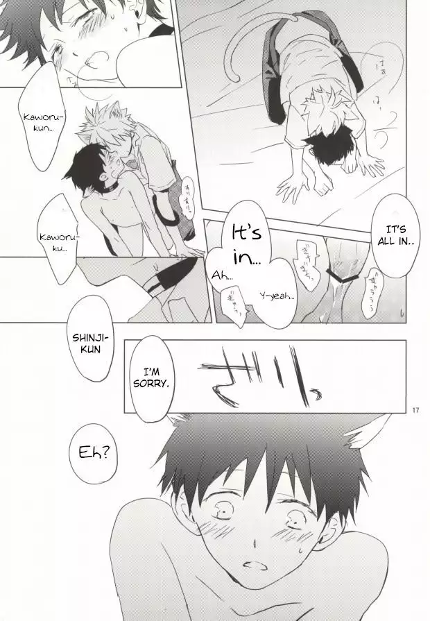 Shin-chan ga Hatsujouki ni Narimashita. )