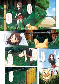 [Noraneko-no-Tama (Yukino Minato)] Kirigami Shima Zen Saishiki Soushuuhen [Digital]