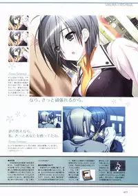 Sakura Sakura Visual Fan Book