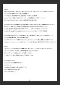 (Reitaisai 7) [Giniro Noel (Yuma)] Nyatori-sama no Shitukekata (Touhou Project)